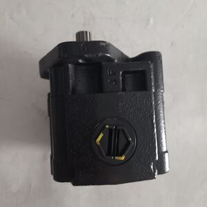 Насос шестеренный KP30.31DO-A8K9-PGF/GE-T-PV-HSC (CASAPPA)